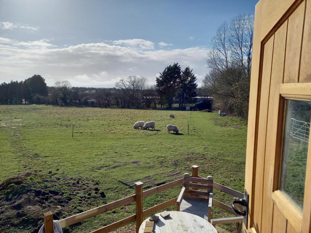 Under The Stars Shepherds Huts At Harbors Lake Villa Newchurch  Exterior foto