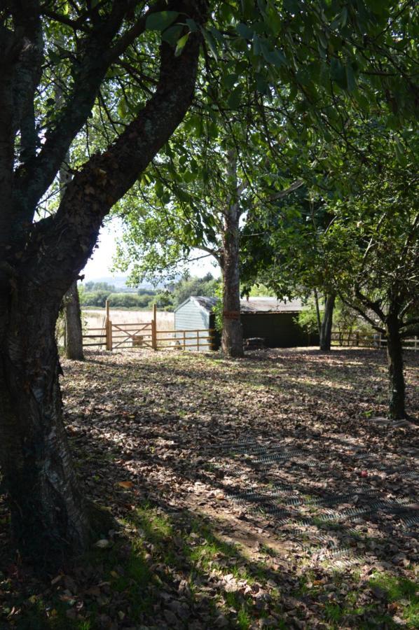 Under The Stars Shepherds Huts At Harbors Lake Villa Newchurch  Exterior foto