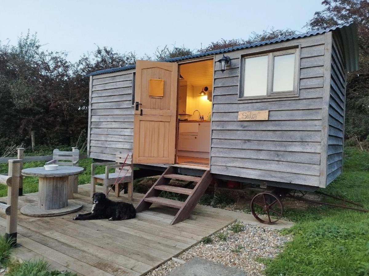 Under The Stars Shepherds Huts At Harbors Lake Villa Newchurch  Exterior foto